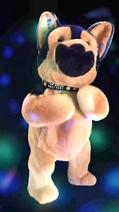 Buddy turns 2, and he's going to party like it's his birthday! #Buddy #BestBuddy #Birthday #HappyBirthday #Turning2 | Two Blind Brothers