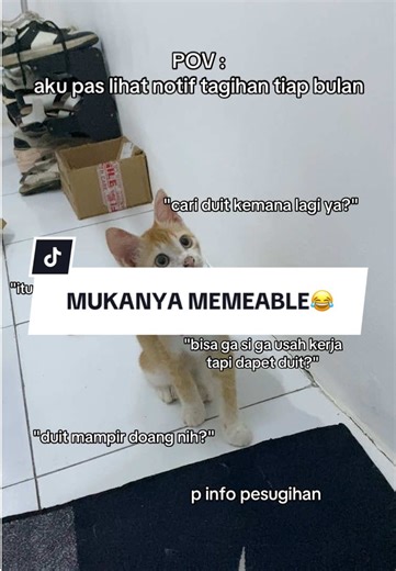 jujur, itu kan suara hati kalian😂😂😂 #millymolly #anabul #catlovers #fyp #xyzbca