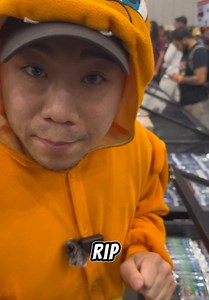 Exploring Pikachu and Charizard in Pokémon Collectibles