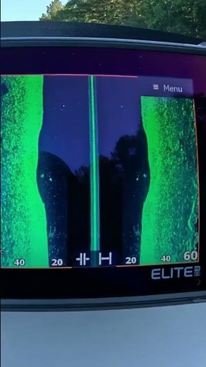How to identify fish on Side Imaging #fishing #bassfishing #tipsandtricks