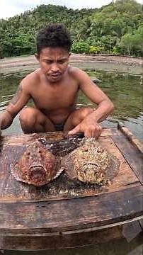Cleaning Frying & Eating a Venomous Stonefish! 😱🔥
