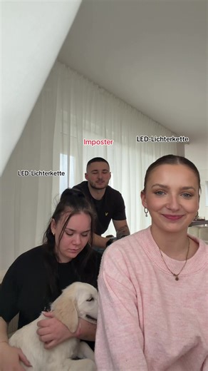 LED Lichterkette: Spaß und Farben für jeden Tag