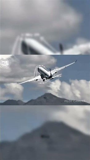 The Beauty of the Airbus A350: Elegance in the Skies