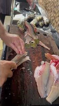 Prestes bem atenção como fazer um filé de tucunaré