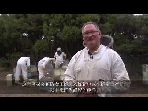 Honey New Zealand: Bee Keeping