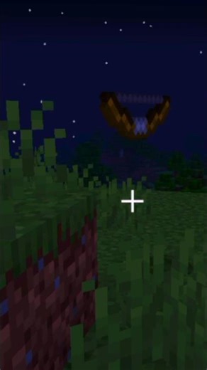 Invisible Skeleton in Minecraft 👀👀#minecraft #shorts #trendingshorts