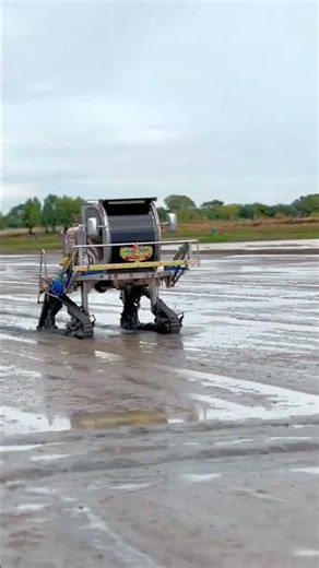 Planting rice using a direct seeding system in the field is highly recommended at this time.