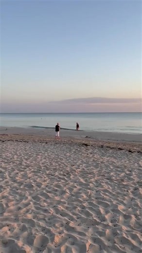 Djerba, 9 octobre 2025: Première lumière sur Djerba : douceur, calme, et un souffle de mer. جربة، 9 أكتوبر 2025: ربي يجيب القسم و ان شاء الله نهاركم مبروك Crédit Vidéo Winny Zibetti #Djerba #jerba #جربة #djerbaladouce #tunisie | جربة مباشر-Djerba En Direct-Djerba Live