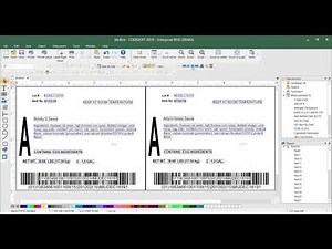 CodeSoft Demo - Label Design Management