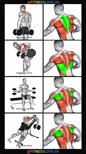 four different exercises targeting the back muscles dorsi and and the trapezius using dumbbells.