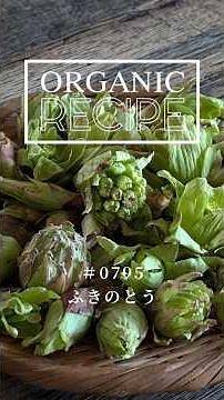 ふきのとうの下処理【旬の手仕事・オーガニックレシピ 0795】#オーガニックプレス #オーガニックレシピ #手仕事 #レシピ #shorts