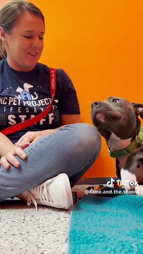 Heartwarming Dog Adoption Story: From Fearful to Happy