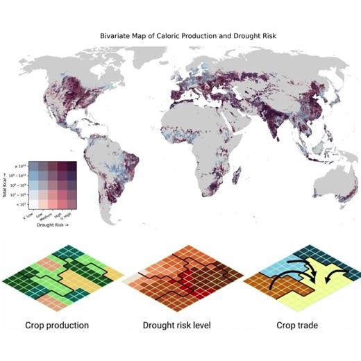 Critical trade connections2