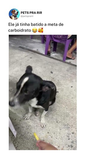 Ele Só Queria A Carne 😂🥩