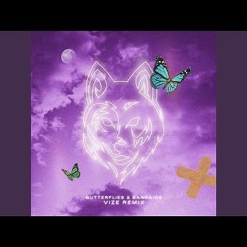Butterflies & Bandaids (VIZE Remix)