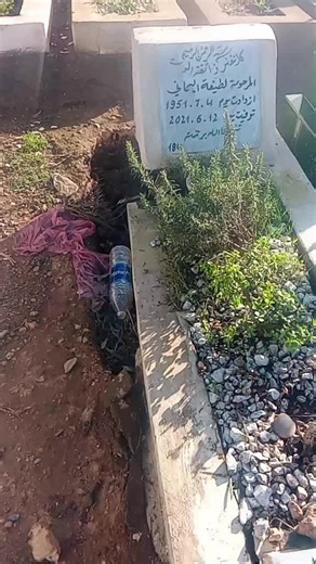 #LIVEIncentiveProgram #LIVEMonetization #PaidPartnership