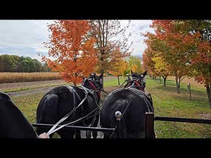 Take a Horse Drawn Hayride to a Pumpkin Patch