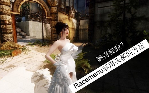 上古卷轴5天际模组新手向教学第七期 Racemenu套用别人头模的方法 不用捏脸