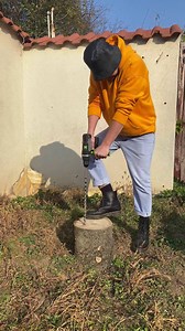 304K views · 651 reactions | DIY Stump Removal! | Crafty Panda | Facebook