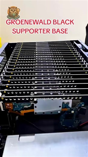 POLITICAL ZEITGEIST (@politicalzeitgeist)’s videos with original sound - POLITICAL ZEITGEIST