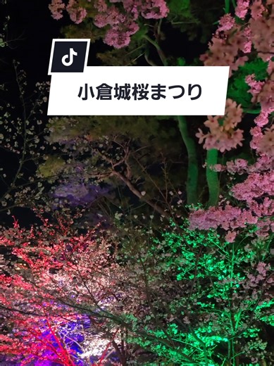 ​小倉城桜まつり行ってきました。 夜の闇に浮かび上がる天守閣と、色鮮やかに照らされた桜が重なり、幻想的な光景が広がっていました。 石垣に映し出されるプロジェクションマッピングや、連なる提灯の灯りが、城下町の風情をより一層引き立てています。 賑やかな夜の空気の中で楽しむ夜桜は、日常を忘れさせてくれるような時間でした。 開催期間: 2026年3月20日（金・祝）～4月12日（日） 場所: 小倉城・勝山公園（福岡県北九州市小倉北区城内2-1） ライトアップ: 9:00～21:00 #小倉城 #桜まつり #夜桜 #ライトアップ #福岡観光