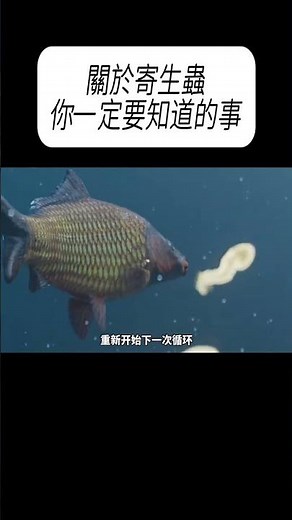 關於寄生蟲，你一定要知道的事#科普 #漲知識