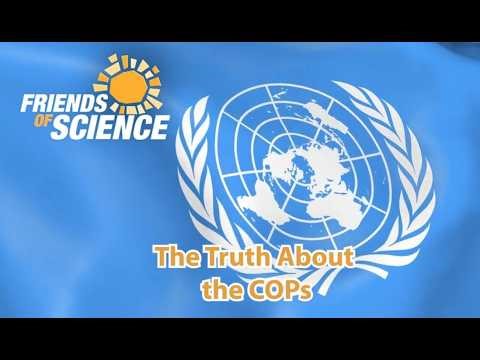 The Truth about the COPs: 30 years of illusions