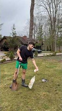 Planting a Honeycrisp Apple Tree 🍎 Starting Our Backyard Orchard