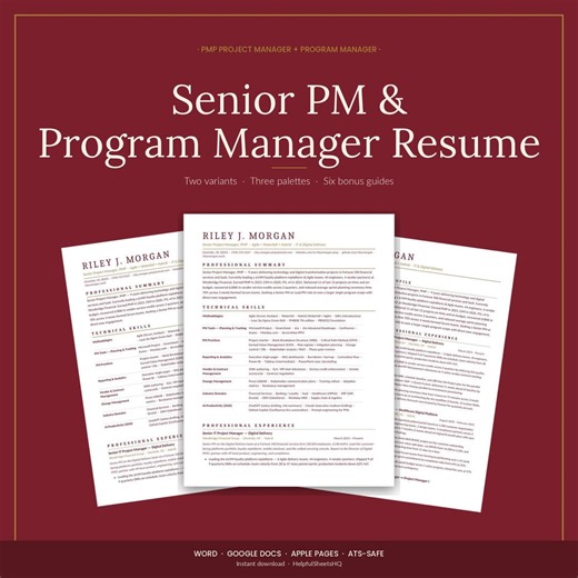 Project Manager Resume Template | PMP + Program ATS | Word/docs - Etsy