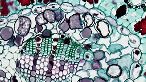 Axon Stock Quote Analysis: Strong Earnings Fuel 2023 Growth