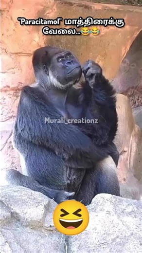 எங்கனு தேடட்டும்...🤪🤪 #shorts #funny #comedy #shortvideo #shortsvideo