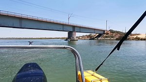 Knorvarkie by die Brug | Aspoestertjie Adventures