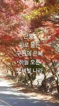 Naejangsan Autumn Foliage 7 #Jeongeup #NaejangsanAutumnFoliage #Korea'sBestAutumnFoliage #No.1Aut...