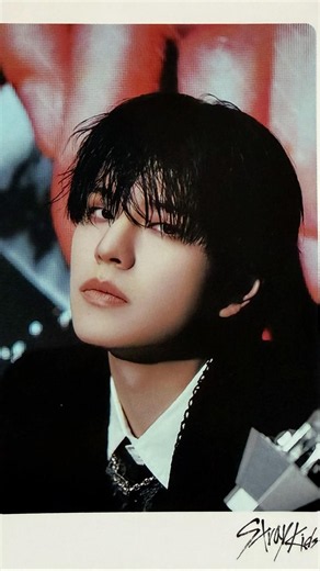 【스트레이 키즈】dominATE JAPAN Stray Kids『승민、필릭스』 #스트레이키즈 #straykids #승민 #필릭스 #kpop #kpopshorts