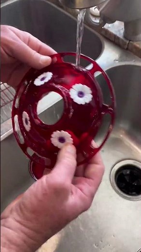 Ruby Hummingbird Glass Feeder! Is It Worth Buying? Honest Review | More Birds