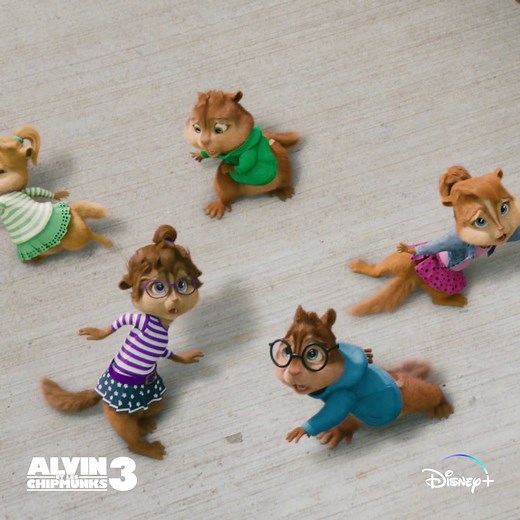 Trois célèbres tamias, beaucoup d'aventures ! 🐿️🎤 Alvin et les Chipmunks, Alvin et les Chipmunks 2, Alvin et les Chipmunks 3 et Alvin et les Chipmunks : à fond la caisse sont disponibles en streaming sur Disney . | Disney