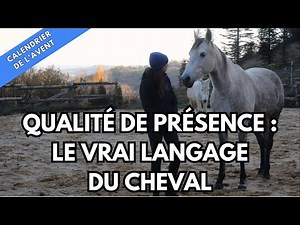 La qualité de présence : le langage silencieux que ton cheval comprend vraiment