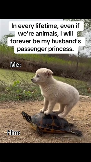 Humorous Marriage Moments: Always Finding Each Other