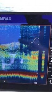 159K views · 1K reactions | Does it get any better than this? Marlin rising on NSS evo3. - with Michael Bonnici | Simrad Yachting | Facebook