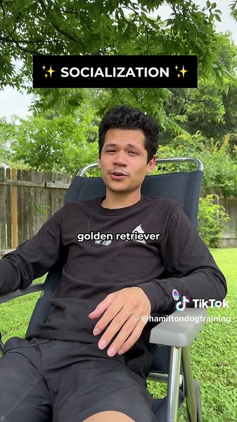 Your dog does not need to be friendly with everyone.