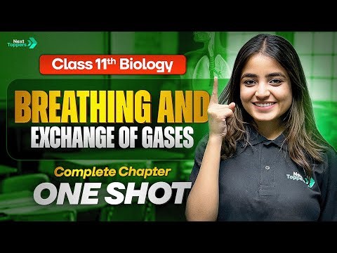 Breathing and Exchange of Gases Class 11 One Shot | 11th Physics Chapter-14 Revision | CBSE 2026