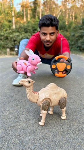 1ta Remote Control Pink Rabbit Vs Rc Camel Unboxing 👌