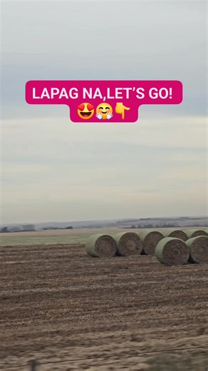 1.3K views · 87 reactions | #hay #haystack #viralvideoシ | Grace U Bustamante | Facebook