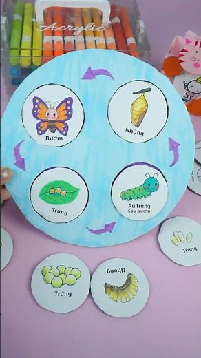 Explore Animal Life Cycles in 60 Seconds #STEMCONG#animallifecycle