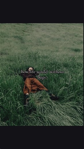 Imagining Life Without Bugs