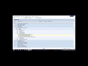SAP Enterprise Structure configuration Video