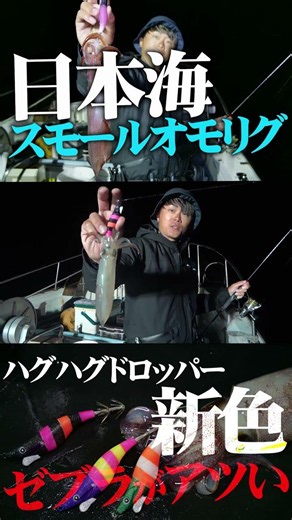 【日本海オモリグ】ゼブラがアツい！スモールオモリグ推奨のハグハグドロッパーに新色が登場！ #釣り #fishing #イカメタル #オモリグ