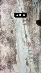 7.1K views · 55 reactions | UFO crash?? | Google Earth 4U | Facebook