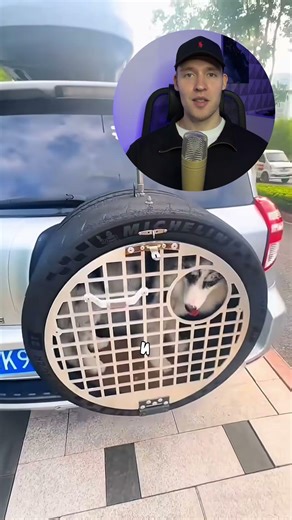 This Dog Hated Sitting in the Car😂 #dog #animals