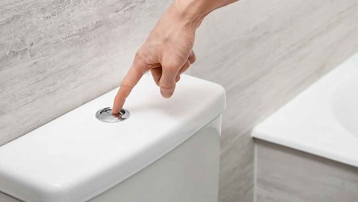 Should You Flush the Toilet After Peeing? (We Asked Experts)